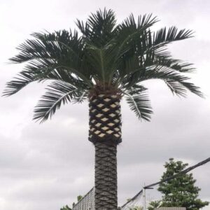 Dirbtinės lauko palmės
